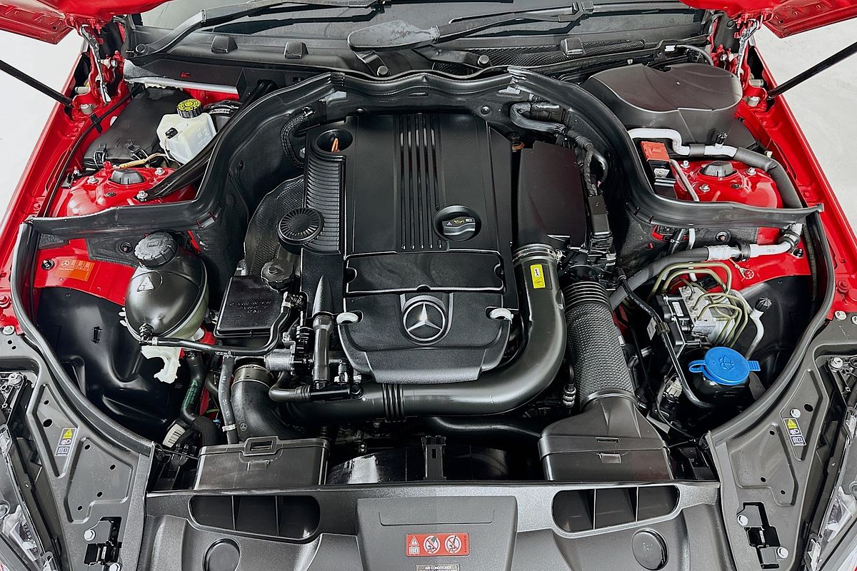 2010 Mercedes-Benz E250 CGI ELEGANCE 207