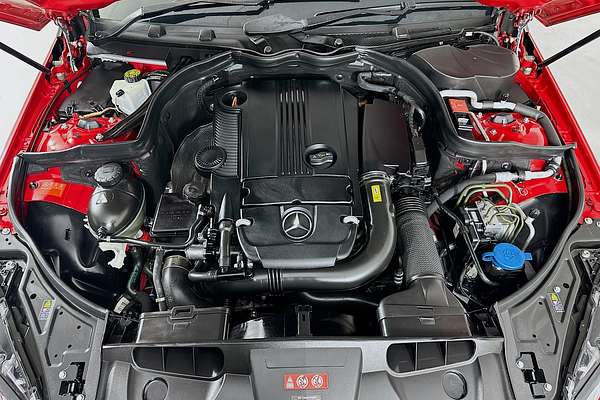 2010 Mercedes-Benz E250 CGI ELEGANCE 207
