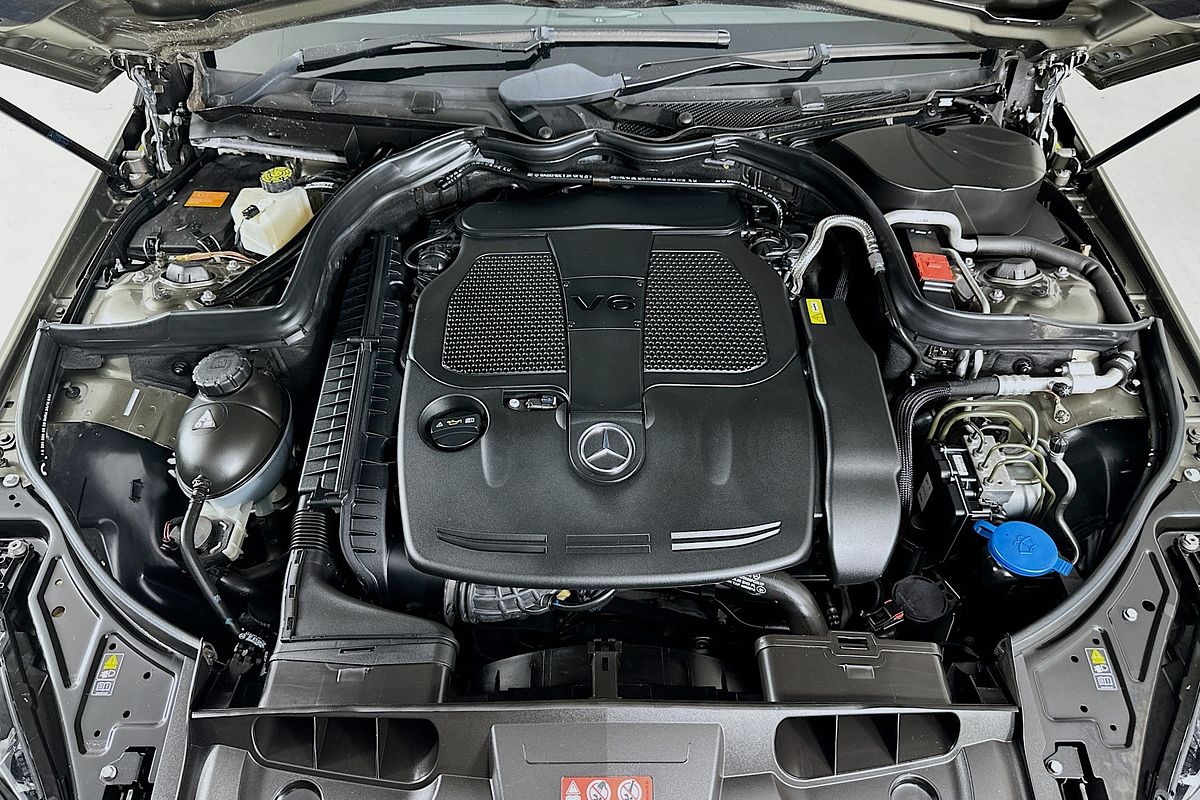 2011 Mercedes-Benz E350 ELEGANCE 207 MY11