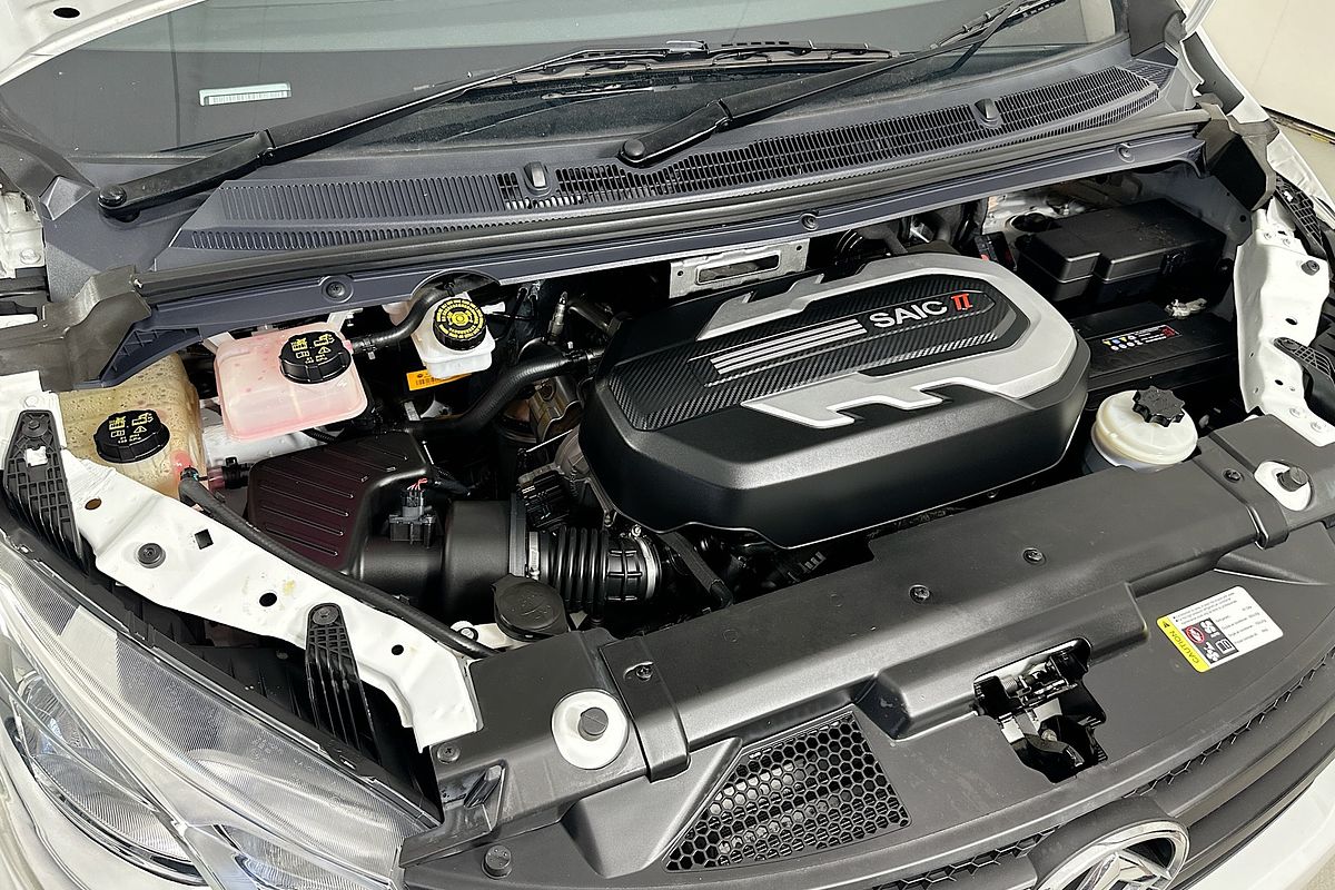 2022 LDV G10 + SV7C