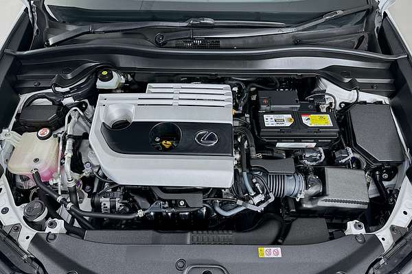 2019 Lexus UX SPORTS LUXURY +EP1 MZAA10R