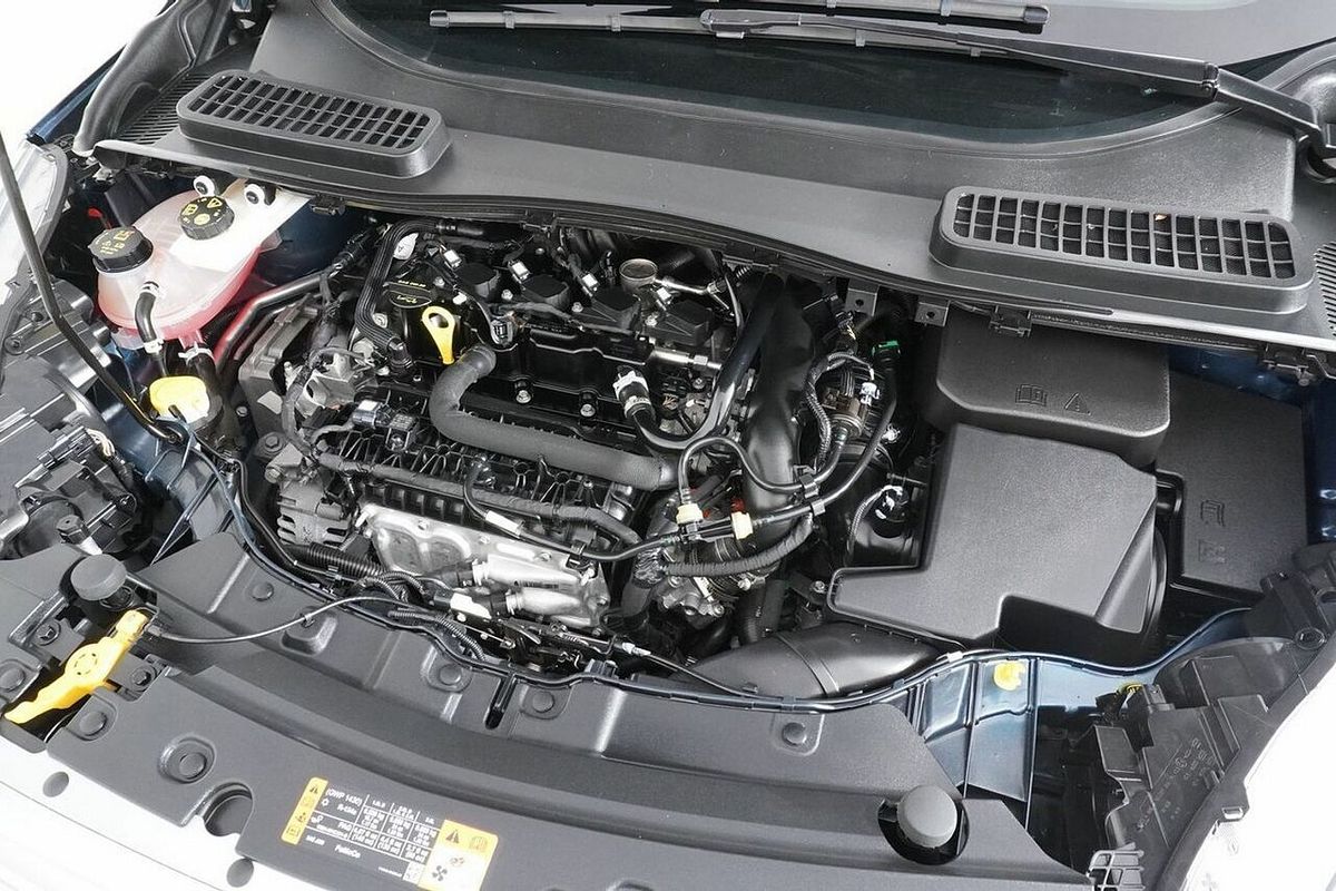 2019 Ford Escape Trend (FWD) ZG MY19.75