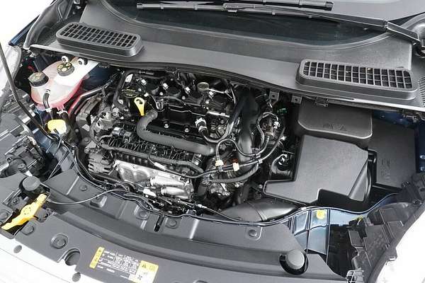 2019 Ford Escape Trend (FWD) ZG MY19.75